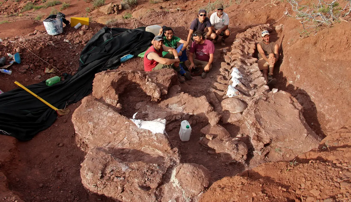 Gambar yang dirilis pada 20 Januari 2021 menunjukkan ahli paleontologi selama penggalian di mana fosil berusia 98 juta tahun ditemukan di barat daya Argentina. Fosil besar yang ditemukan diperkirakan berasal dari dinosaurus terbesar yang pernah ditemukan. (JOSE LUIS CARBALLIDO/CTyS-UNLaM /AFP)