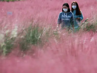 Dua orang wanita berjalan di tengah hamparan rumput muhly merah jambu di Taman Olimpiade di Seoul, Korea Selatan (15/10/2020). Korsel memutuskan untuk menurunkan pedoman jaga jarak sosial tiga tingkatnya ke level terendah setelah angka harian kasus COVID-19 relatif rendah.  (Xinhua/Wang Jingqiang)