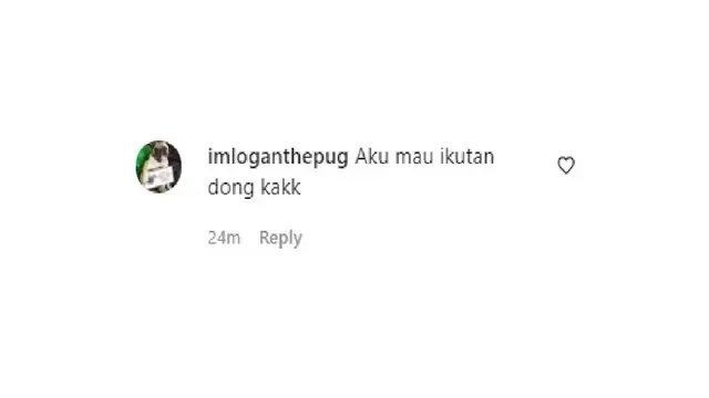 Komentar netizen di postingan Amanda