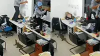 Kantor diserang biawak (Sumber: Twitter/asupanmemevideo)