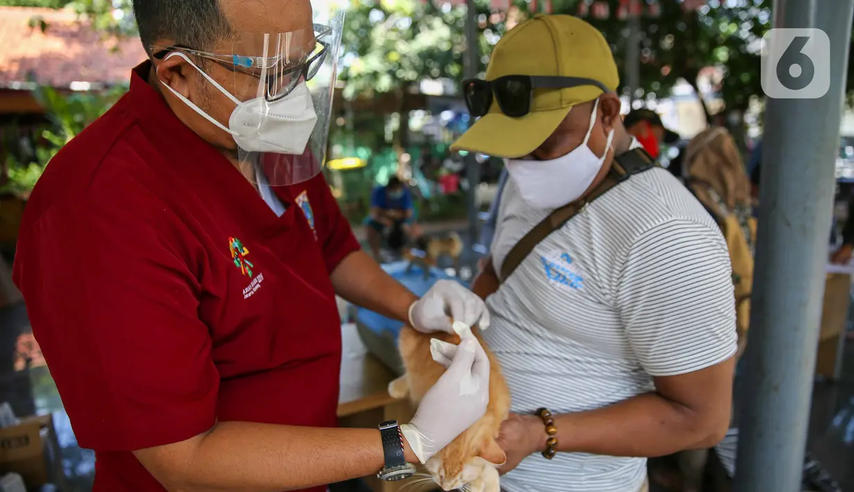 Paramedis dari pusat kesehatan hewan (Puskeswan) Dinas Ketahanan, Pertanian, dan Perikanan Kota Adm. Jakarta Selatan menyuntikkan vaksin anti rabies secara gratis di kawasa Tebet, Jakarta, Sabtu (31/10/2020). (Liputan6.com/Faizal Fanani)
