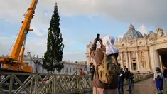 Biarawati mengambil foto saat sebuah derek dikerahkan untuk mendirikan pohon Natal raksasa di Lapangan Santo Petrus, Vatikan, Kamis (22/11). Pohon cemara yang didatangkan dari Hutan Consiglio di Italia ini tingginya mencapai 23 meter (AP/Andrew Medichini)