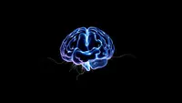 Sebagian Pasien Epilepsi Alami Pengurangan Frekuensi Kejang Saat Jalankan Puasa Ramadan