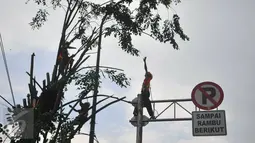 Sejumlah petugas sedang menebang pohon di sepanjang jalan DI. Panjaitan, Kebon Nanas, Jakarta, Senin (21/3). Penebangan pohon-pohon itu untuk pelebaran jalan terkait pembangunan Jalan Tol Becakayu. (Liputan6.com/Gempur M Surya)
