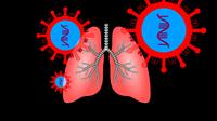 ilustrasi paru-paru/credit pixabay/geralt