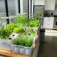 Layout Hidroponik Wick System (Sumbu) dalam Kontainer. Foto: Gemini