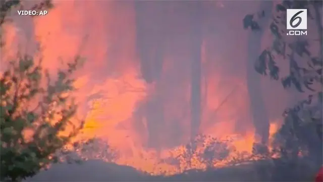 5000 petugas pemadam kebakaran dikerahkan ke wilayah pusat dan utara Portugal. Petugas dibantu helikopter dan 1000 mobil pemadam kebakaran.