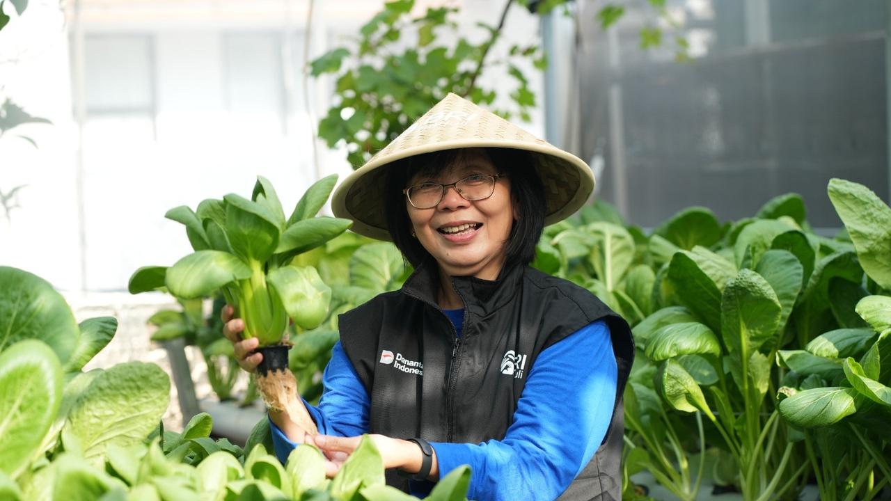 Intip Kisah Inspiratif KWT Buaran Citra Lestari Bersama BRInita, Manfaatkan Lahan Sempit Jadi Produktif