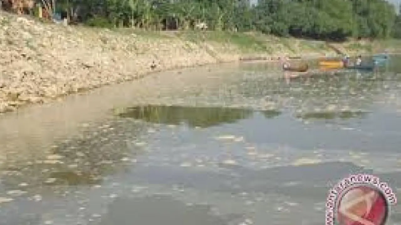 2 Perusahaan Besar Kepergok Buang Limbah di Sungai Cisadane