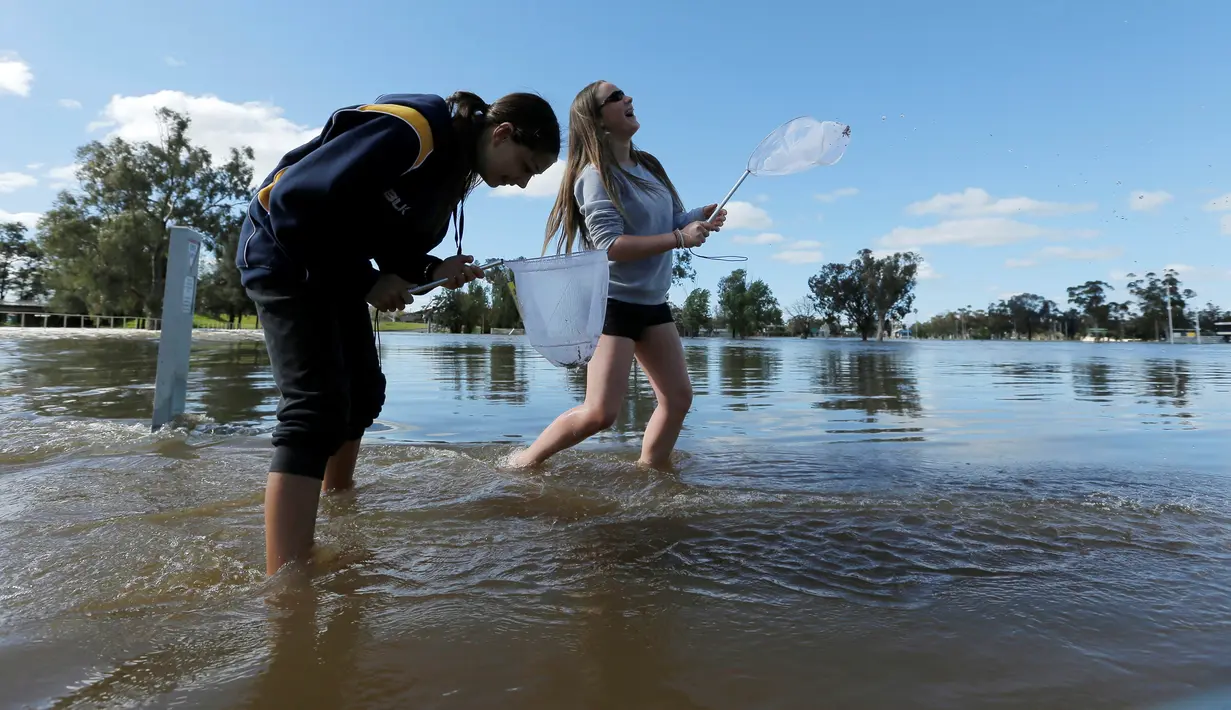 Dua remaja mencari ikan saat banjir melanda Kota Forbes, kawasan pedalaman di New South Wales, Australia, Selasa (27/9). Sungai Lachlan meluap karena tak sanggup menampung air yang berlimpah akibat hujan deras. (REUTERS / Jason Reed)