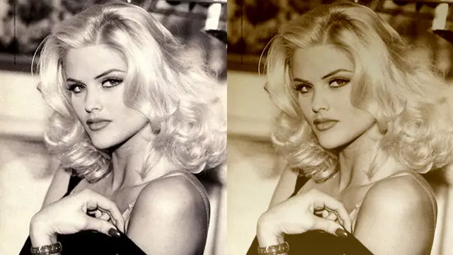 Anna Nicole Smith 