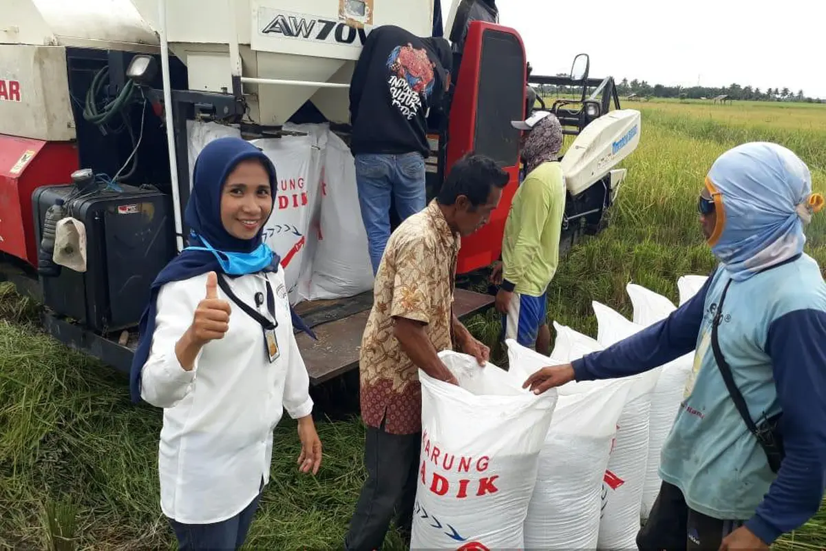 Di Tengah Pandemi Covid-19, Petani Sulawesi Tengah Berhasil Surplus Beras