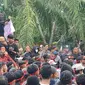 Ratusan petani rumput laut di Nunukan menggeruduk kantor DPRD Nunukan. (Liputan6.com)