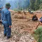 KLHK menangkap warga perambah hutan di Luwu Timur