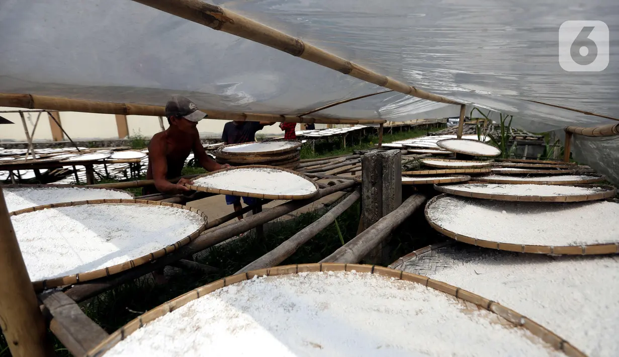 Pekerja menjemur tepung aci di Sukaraja, Kabupaten Bogor, Jawa Barat, minggu (20/6/2021). Pemerintah mengklaim hasil pelaksanaan program Pemulihan Ekonomi Nasional (PEN) klaster dukungan UMKM membantu mayoritas penerima manfaat dapat bertahan selama pandemi COVID-19. (Liputan6.com/Angga Yuniar)