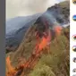 Bukit Anak Dara di Kaki Gunung Rinjani Terbakar, Jalur Pendakian Ditutup Sementara.&nbsp; foto: Instagram @bukitanakdara