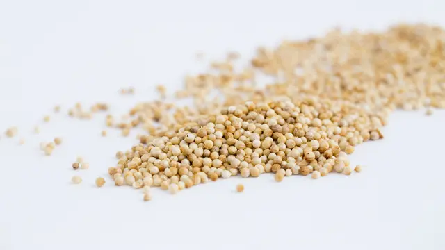 Fimela - Food Ketumbar