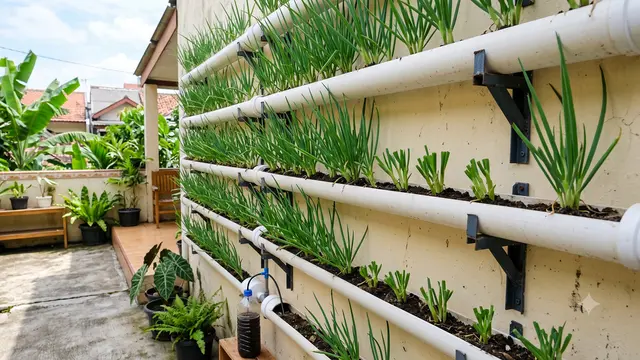 Model Teras dengan Daun Bawang dalam Talang PVC
