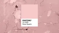 Pink Milenial, Warna Wajib untuk Tampil Modis di 2017