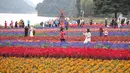 Sejumlah wisatawan menikmati suasana di antara bunga-bunga di Taman Hutan Nasional Shimen, Guangzhou, Provinsi Guangdong, China, 26 Desember 2020. (Xinhua/Deng Hua)