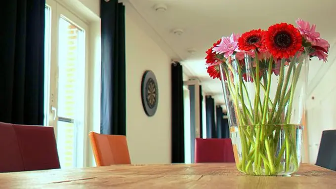 copyright pexels.com/Picasa