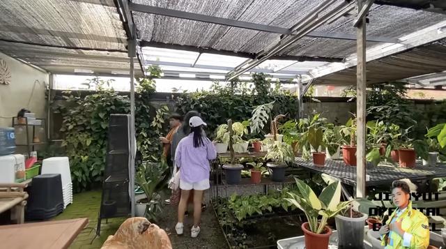 Potret Halaman Belakang Rumah Soimah di Jogja/Youtube/Jirayut Official Channel