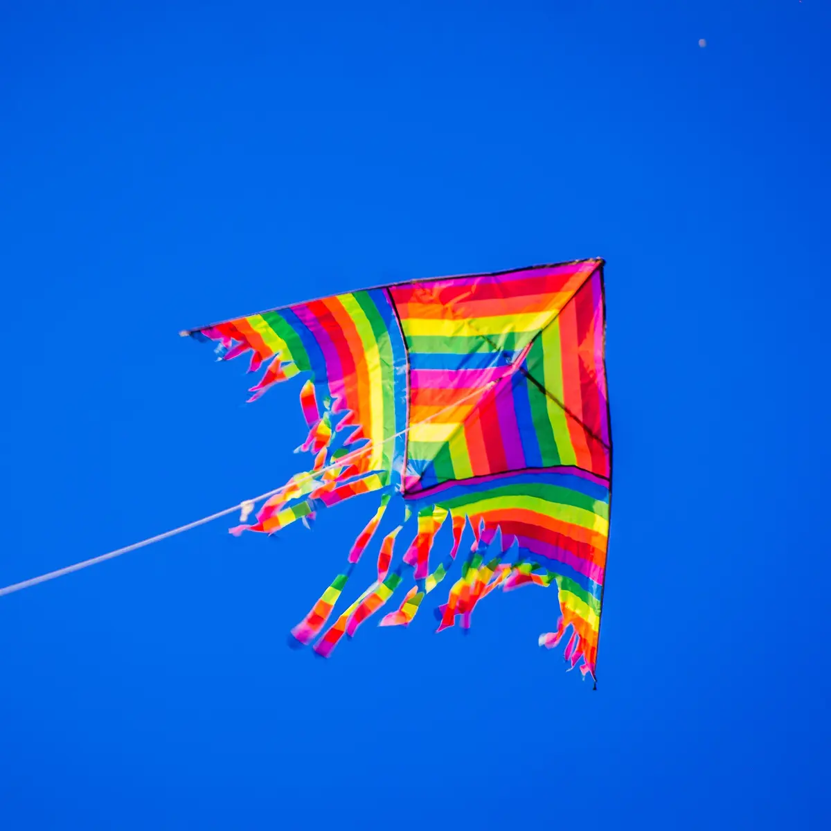 9 Arti Mimpi Bermain Layang-Layang, Pertanda Rindu Kenangan Masa Lalu -  Lifestyle Fimela.com