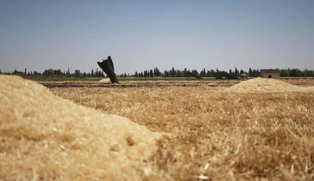 Sebuah proyektil rudal terlihat di ladang pertanian dekat kota Najha, Suriah, Senin 8 Juni 2026. (AP Photo/Ghaith Alsayed)