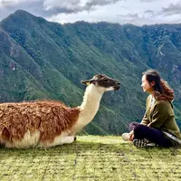 Machu Picchu, Peru. (project.daum/Instagram)