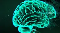 Kemampuan komputer yang ditanamkan kuat di otak kita memungkinkan terjadinya telepati. (iStockphoto)