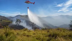 Kebakaran Bromo Tembus 899 Hektare, Tim Pemadam Gempur Titik Api Tersisa