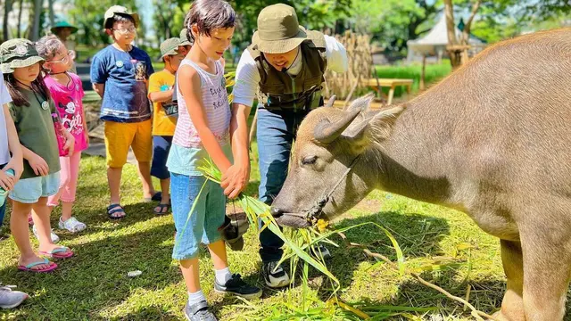 Anak-anak bermain bersama binatang di Scientia Square Park