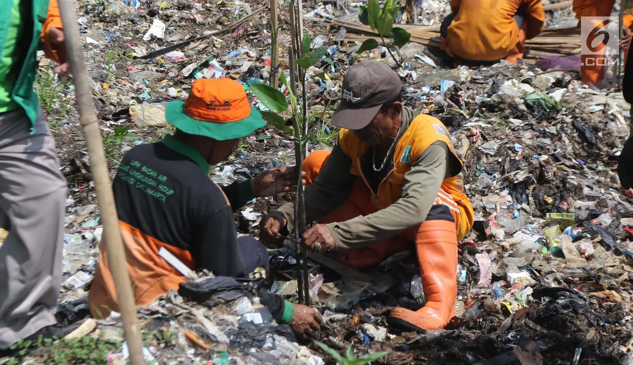 Petugas Sudin Lingkungan Hidup bersama PPSU menanam bibit pohon mangrove di atas tumpukan sampah di kawasan hutan mangrove Ecomarine, Jakarta Utara, Minggu (18/3). Mangrove sangat diperlukan untuk menahan abrasi. (Liputan6.com/Arya Manggala)