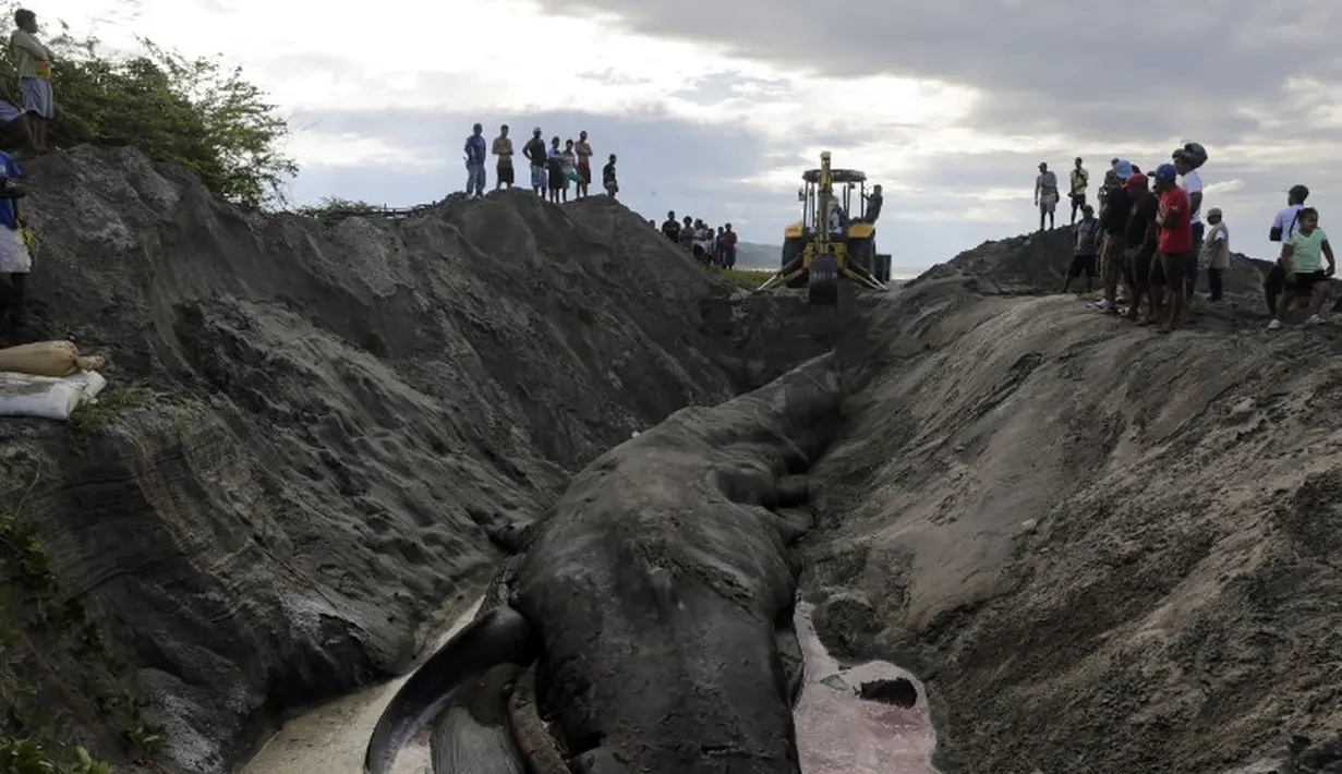 Ikan paus yang malang itu sempat menjadi tontonan warga yang bingung harus berbuat apa, Pantai Popoyo, Nicaragua, Jumat (14/11/2014) (AFP Photo/Inti Ocon)