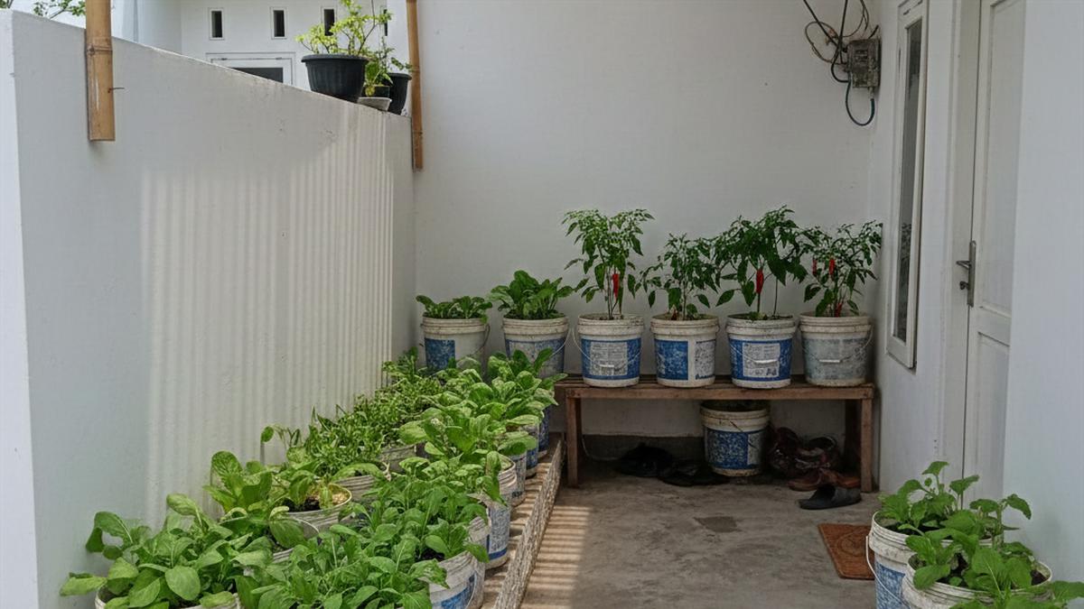 8 Desain Kebun Sayur di Ember Cat Bekas, Praktis dan Produktif di Segala Cuaca