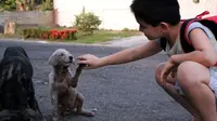 Bocah ini memiliki hati yang mulia. Diam-diam ia selalu memberikan makan anjing-anjing liar yang tak terawat di jalanan.