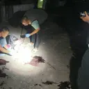 Pria Kritis di Gedung Mangkrak Pasar Kliwon, Penyebab Masih Misteri