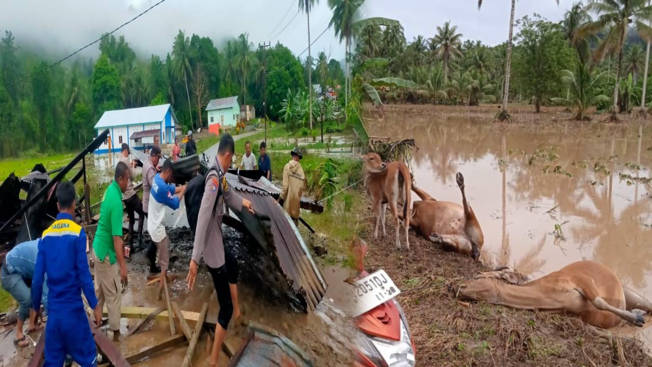 Banjir Bandang Terjang Dua Desa di Pohuwato: 2 Orang Tewas, Sapi-Sapi ...