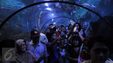 Pengunjung melihat ikan dalam air di Sea World, Ancol, Jakarta, Kamis (7/7). Wahana Sea World masih menjadi tempat favorit warga untuk mengisi waktu berlibur hari ke-2 Lebaran. (Liputan6.com/Johan Tallo)