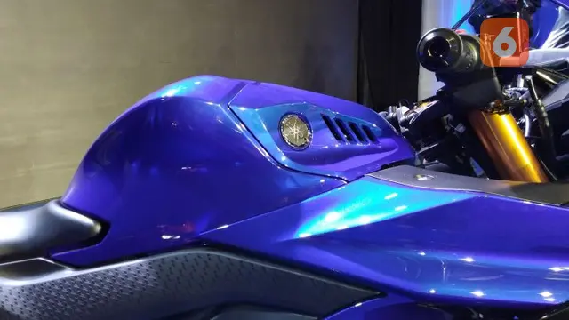 Yamaha R25