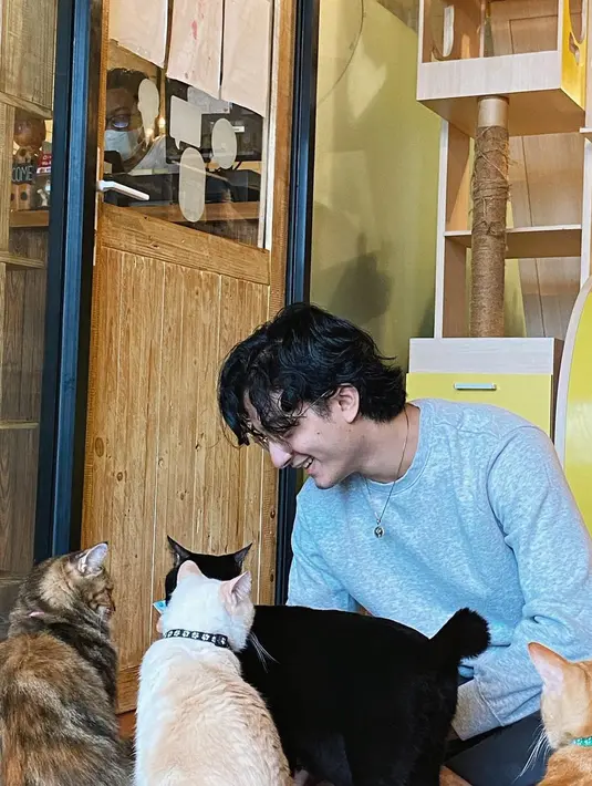 Bintang film 'Merindu Cahaya de Amstel' ini tampak senang bisa merefresh suasana hatinya di tengah kesibukan kerja dengan bermain bareng kucing. Rupanya tak hanya satu, ada empat kucing di frame yang membuat Bryan tersenyum lebar. (Liputan6.com/IG/@bryandomani_bd_)