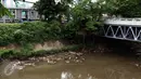 Ceceran sampah menumpuk di pinggir Kali Ciliwung di sisi jalan Menteng Tenggulun, Jakarta, Kamis (22/12). Turunnya debit air Kali Ciliwung membuat ceceran sampah tersangkut. (Liputan6.com/Helmi Fithriansyah)