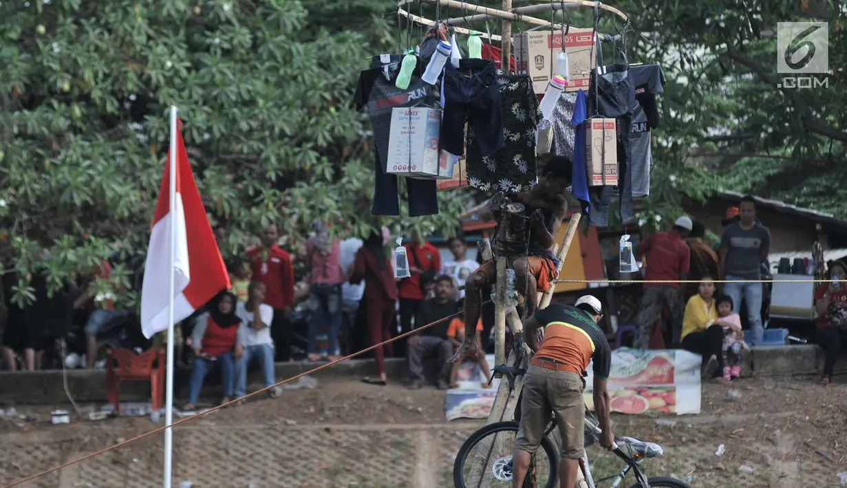 Petugas dari UPK Badan Air Dinas Lingkungan Hidup (DLH) Kecamatan Duren Sawit  mencapai puncak saat lomba panjat pinang dalam rangka HUT ke-74 RI di Kanal Banjir Timur, Jakarta, Sabtu (17/8/2019). (merdeka.com/Iqbal S. Nugroho)