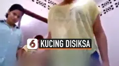 THUMBNAIL kucing