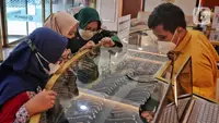 Pelanggan melihat perhiasan emas yang tersusun dalam etalase di Galeri 24, Jakarta, Selasa (13/9/2022). Selain emas batangan, Antam juga menjual bentuk lain seperti koin dinar, dirham, maupun emas koleksi lainnya. (Liputan6.com/Angga Yuniar)