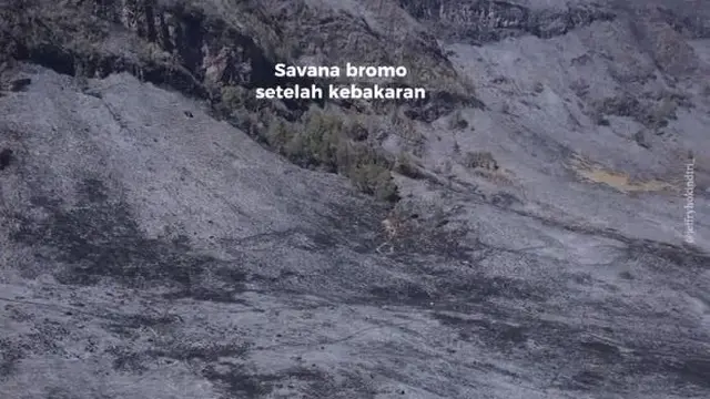 6 Potret Savana Bromo Dilihat Dari Drone Setelah Kebakaran, Tampak Hangus
