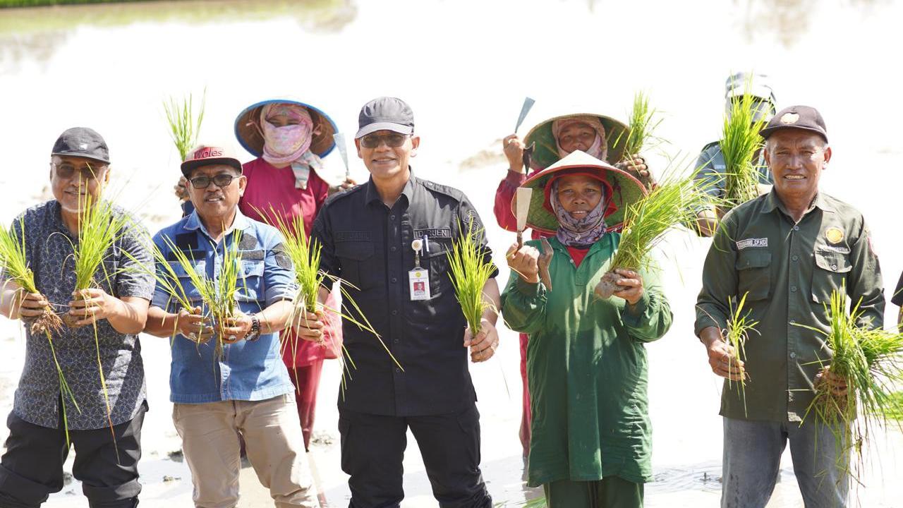 Percepatan Tanam dan Antisipasi Banjir di Banyuasin, Kementan Optimasi Lahan Rawa Mineral