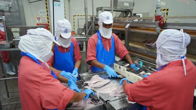 Ekspor Perikanan Tembus USD 6,27 Miliar di 2025, KKP: Komoditas Indonesia Makin Bernilai di Pasar Global