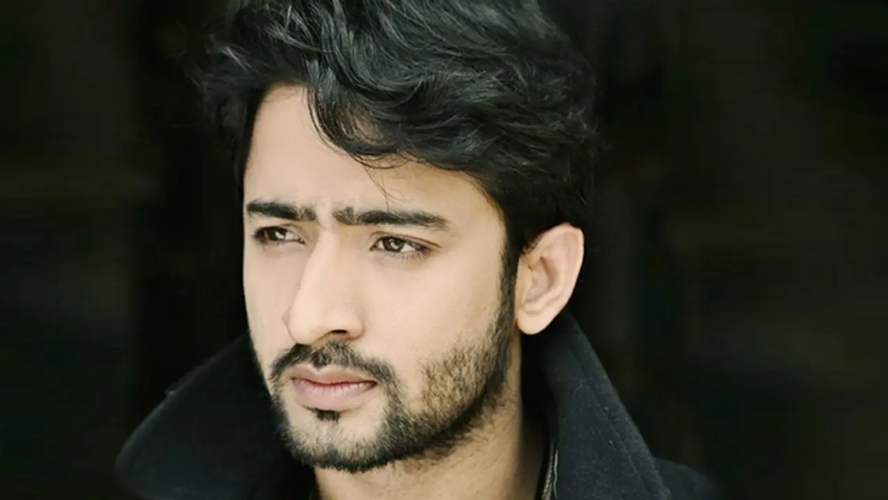 Shaheer Sheikh 