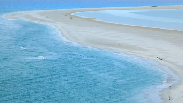 600 Turis Asing di Pulau Socotra Yaman Terdampar, Efek Konflik Arab Saudi versus UEA